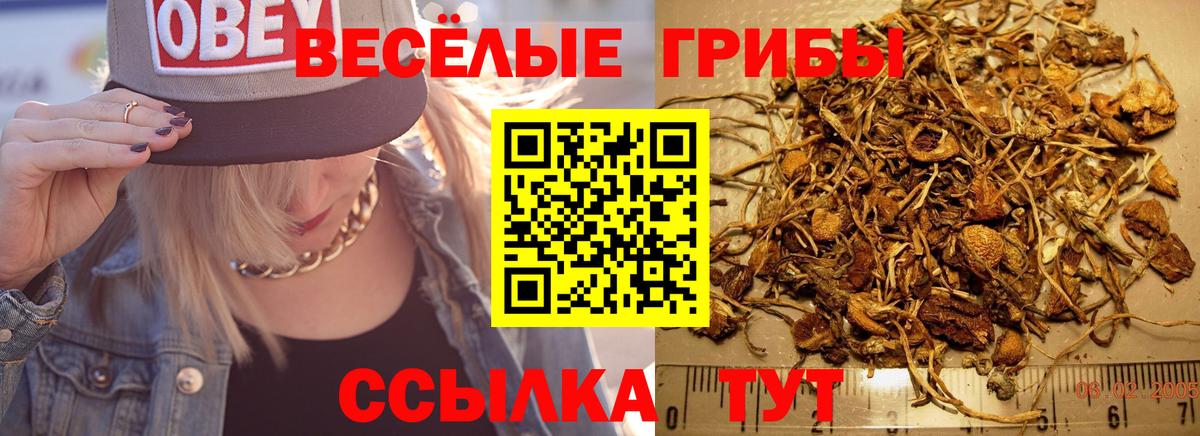 Галлюциногенные грибы мицелий  Псилоцибиновые грибы мухоморы  Балашов  Вход с VPN 